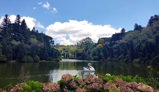 Pacote Gramado - Imagem 2